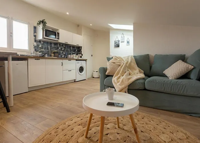 Le Boheme - Netflix - Wifi - Vue Sur La Cite Medievale Et Les Toits Carcassonne