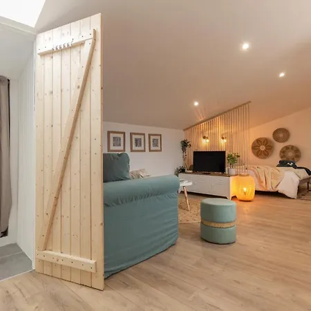 Apartamento Les Clés De Laure - Le Boheme - Netflix - Wifi - Vue Sur Les Toits Et Le Chateau Carcasona